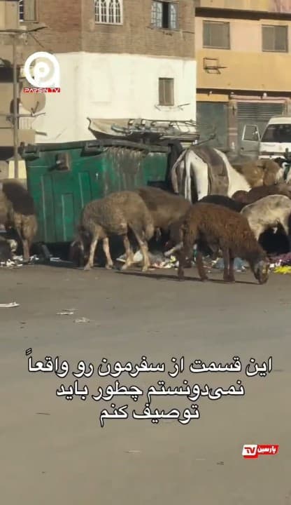 پایتخت فرهنگ و تمدن عربی به چه روزی افتاده؟! اهرام مصر با ویو ابدی از زباله!